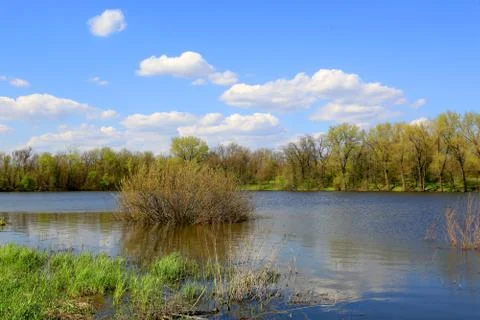 Lake at spring time Stock Photos