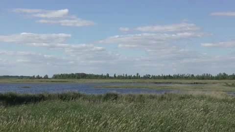 Lake in the steppe 2 Video stock 133172520