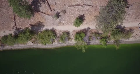 Lake still 库存影片 279520204