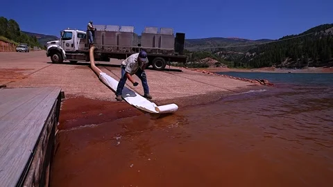 Lake Stocked With 10" Trout Stock Footage 341620282