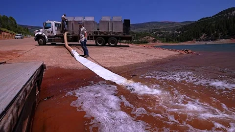 Lake Stocked With 10" Trout Stock Footage 341620288