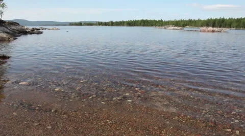 On the lake in summer day Stock Footage 25885396
