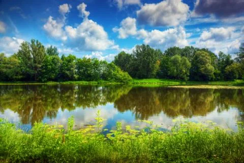 Lake in a summer forest 스톡 사진