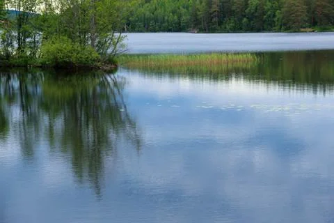 Lake in summer Stock Photos
