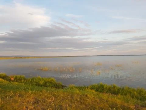 Lake. summer 库存照片