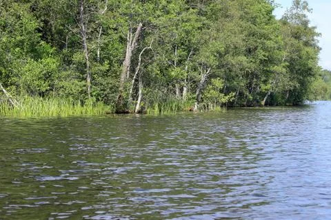 Lake in summer Stock Photos