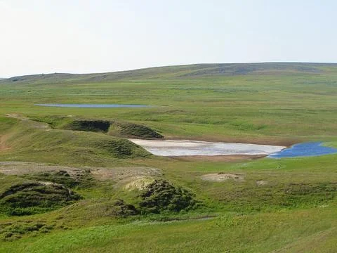 Lake in the summer tundra. Stock Photos