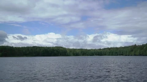 Lake in summer. Water surface, forest pond. Stock Footage 166588845