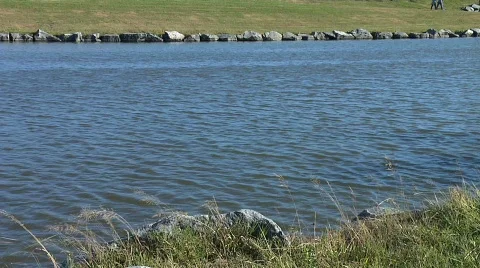 Lake summertime 2 動画素材 568106