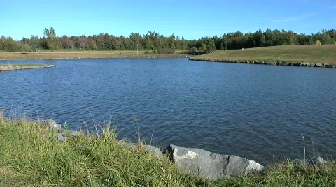 Lake summertime 動画素材 568186