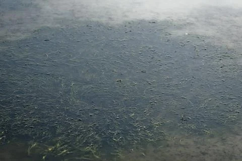 Lake with sun and cloud in reflection in disgusted sky background Stock Photos