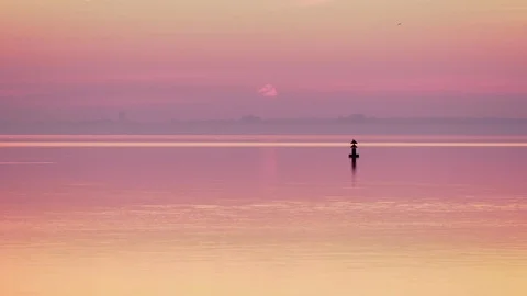 Lake before sunrise Stock Footage 93781927