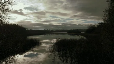 Lake at sunrise Video stock 255913513