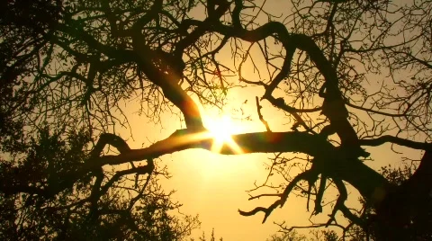 Lake at the sunset Stock Footage 797931