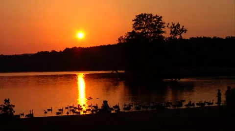 Lake at Sunset Video stock 1066069