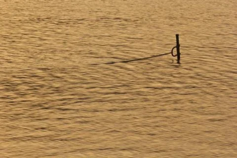 Lake in sunset Foto stock