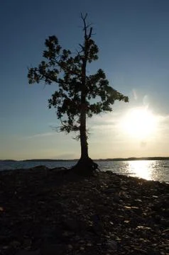 Lake at sunset Foto stock