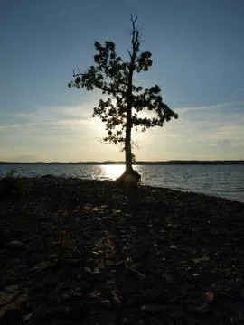 Lake at sunset Foto stock