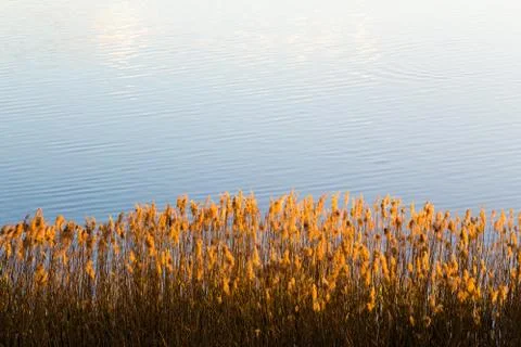 Lake at sunset Stock Photos