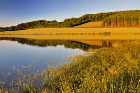 Lake at sunset Stock Photos