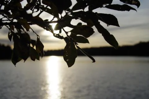 Lake sunset Stock Photos