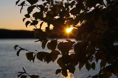 Lake Sunset Stock Photos