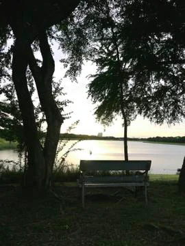 Lake sunset tree Stock Photos