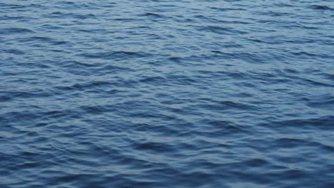 Lake at sunset . water surface close-up Stock Footage 244816325