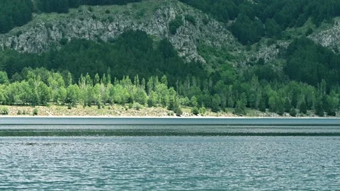 Lake surface and mountain with pine forest Stock Footage 138406239
