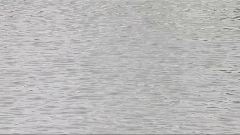 Lake surface at cloudy summer day Stock Footage 74450442