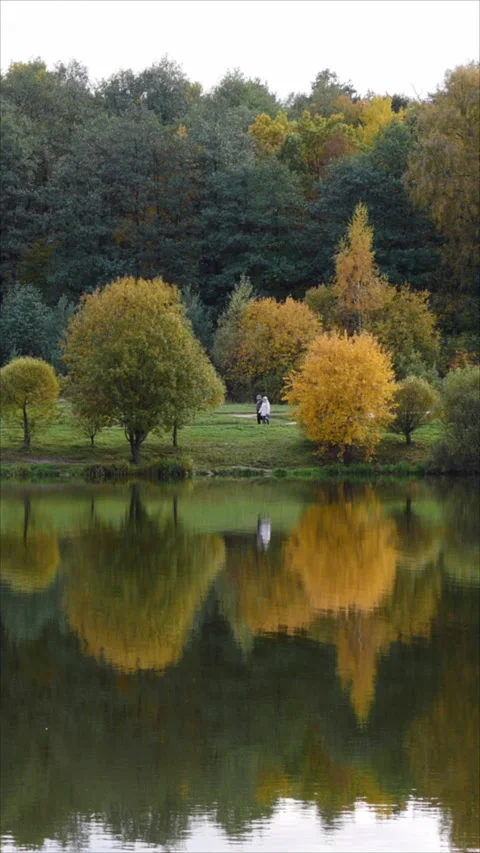 Lake Surface With Fall Trees Reflection. Vertical. Stock Footage 284841249