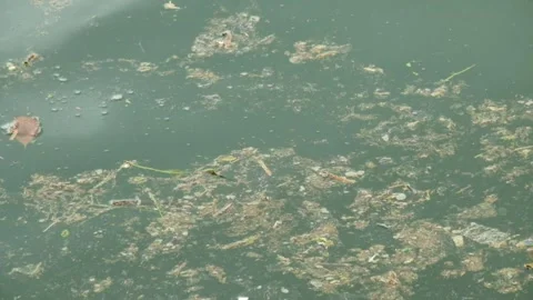 Lake surface filled with garbage Stock Footage 319967136