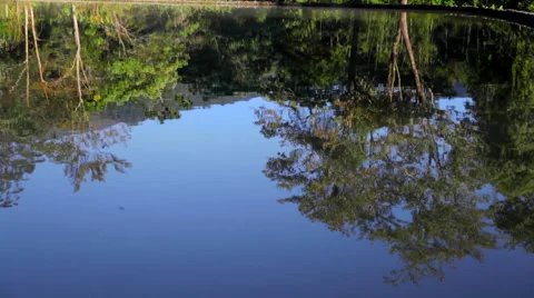 Lake Surface Stock Footage 45619175