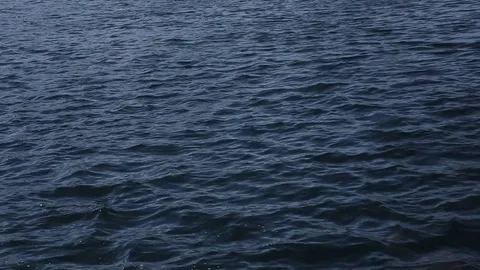 Lake surface Stock Footage 77680096