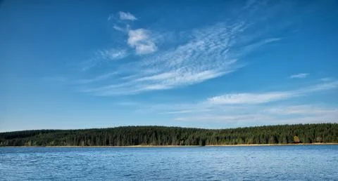 Lake surface with forest and trees Stock Photos