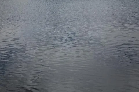 Lake surface. Stock Photos