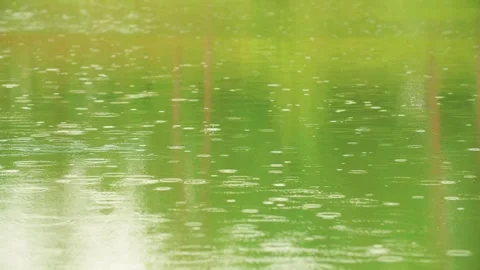 Lake surface in the rain - ripples of raindrops 1 Stock Footage 257530529
