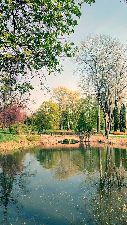 Lake surface reflecting blue sky stone bridge trees bright green leaves Vertical Stock Footage 301912860