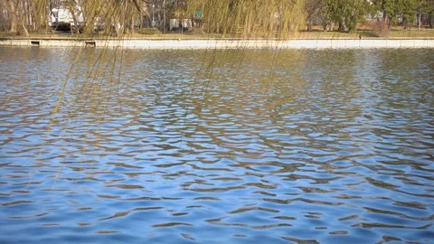 Lake surface ripples in the park Video stock 87296220