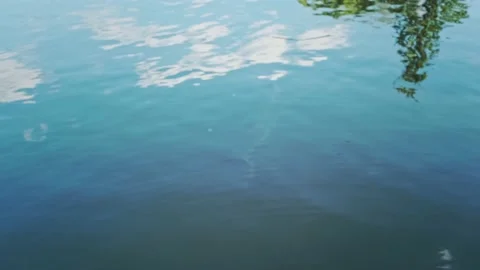 Lake surface at summer Видео 137777914