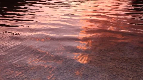 Lake surface at sunset Stock Footage 130893650