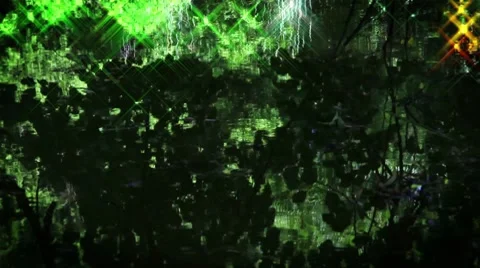 Lake surface with tree reflection Stock Footage 8679471