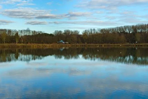 Lake surface view with reflective trees and blue sky with white clouds Stock Photos
