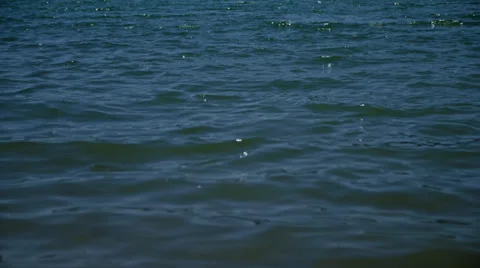 Lake surface, waves ride to shore 4K Stock Footage 36997992