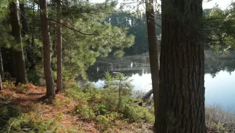 Lake Surface.03 Stock Footage 11292505