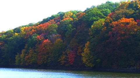 Lake Surrounded by Autumn Trees Video stock 904653