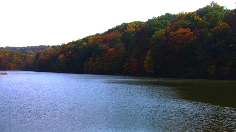 Lake Surrounded by Autumn Trees Stock Footage 904663
