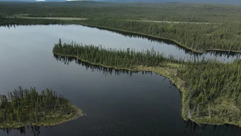 Lake surrounded by Boreal Forest on an overcast day, Drone View Stock Footage 169558729