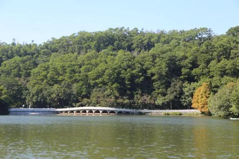 A lake surrounded by dense green trees, with an elegant white bridge crossi.. Stock Photos