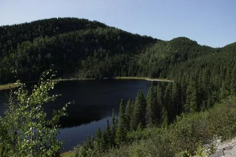 Lake surrounded by a forest 03 Stock Photos